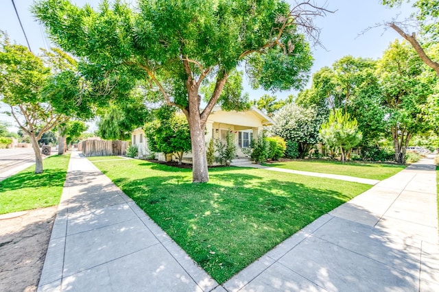 1934 N Vagedes Ave, Fresno, CA 93705 - view of property hidden behind natural elements
