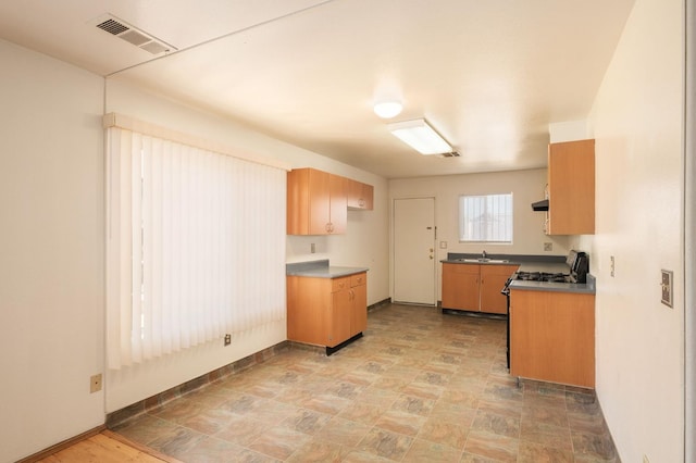 2063 S Tupman Ave, Fresno, CA 93706 - kitchen featuring a sink and baseboards