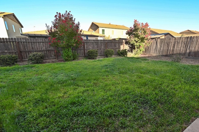 view of yard