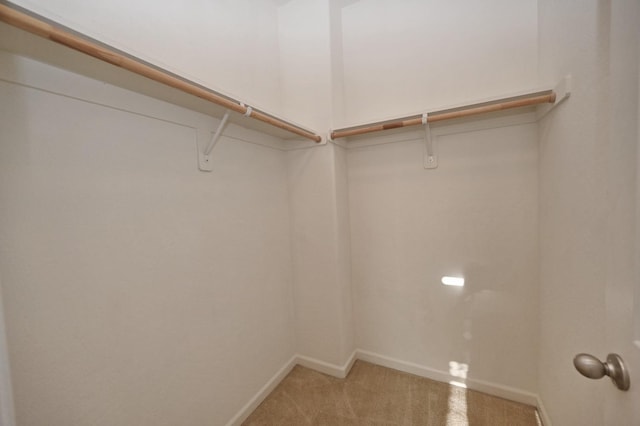 spacious closet featuring light colored carpet