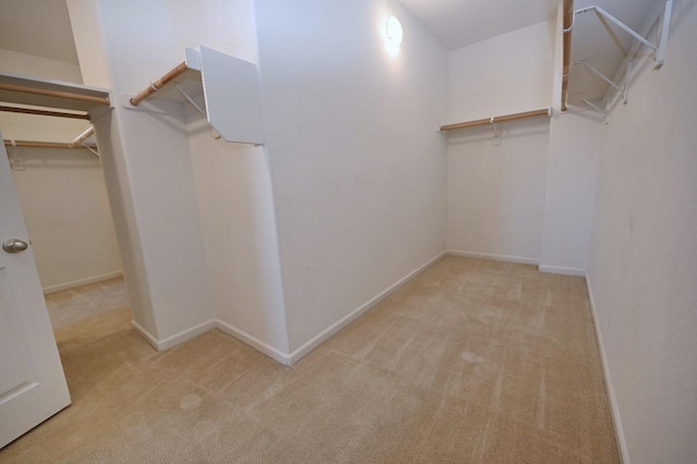 spacious closet with carpet flooring