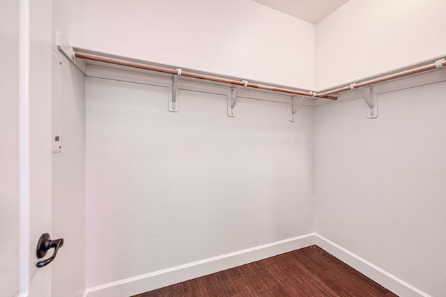 spacious closet featuring dark wood-style flooring
