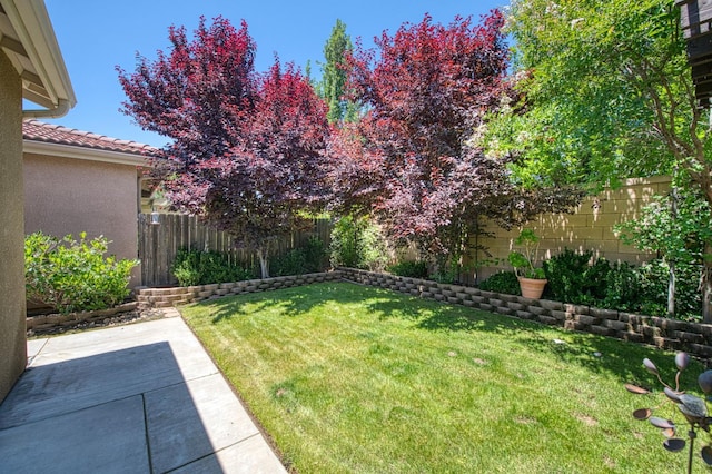 view of yard featuring a patio area