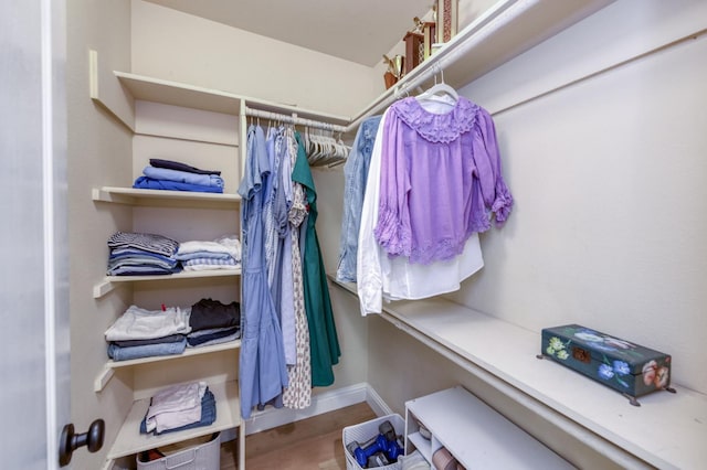 walk in closet featuring wood finished floors