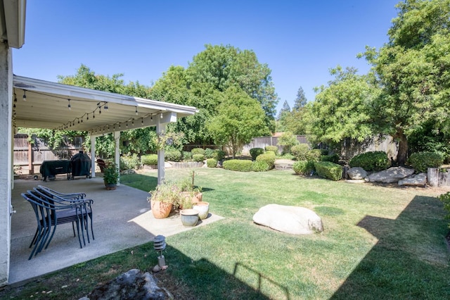 view of yard with a patio