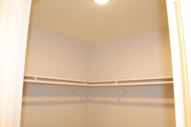 1884 Clover, Dinuba, CA 93618 - view of spacious closet