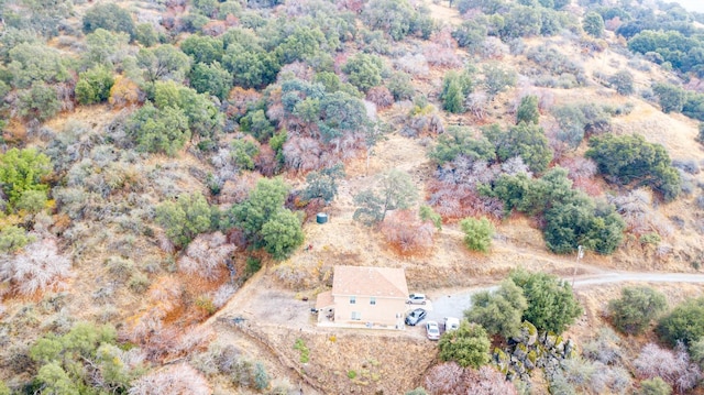 45704 Butternut Ln, Yokuts Valley, CA 93675 - aerial view of property and surrounding area
