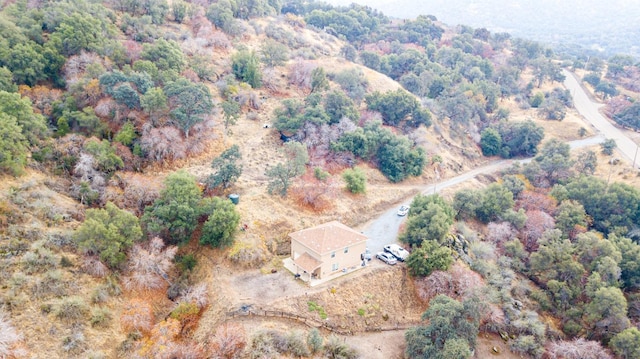 45704 Butternut Ln, Yokuts Valley, CA 93675 - aerial view of property and surrounding area