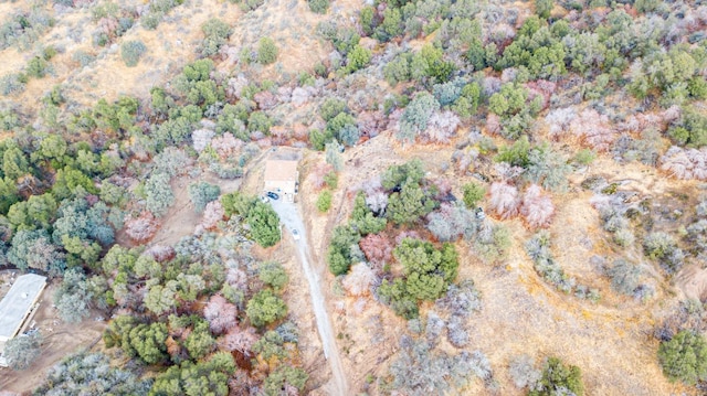 45704 Butternut Ln, Yokuts Valley, CA 93675 - aerial view of property and surrounding area