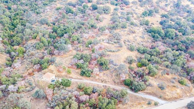 45704 Butternut Ln, Yokuts Valley, CA 93675 - aerial view of property's location