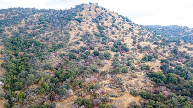 45704 Butternut Ln, Yokuts Valley, CA 93675 - view of mountain background