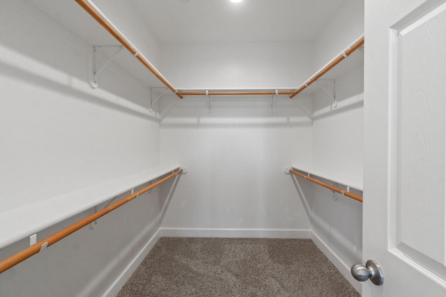 3822 Hannah Ln, Clovis, CA 93619 - walk in closet featuring carpet