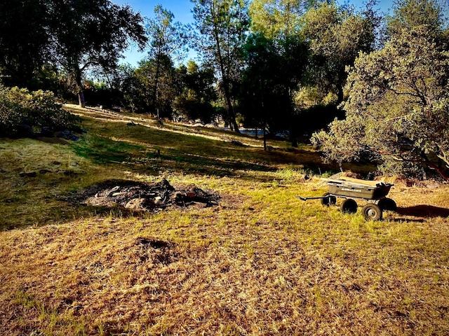 31388 Yosemite Springs Pkwy, Coarsegold, CA 93614 - photo 47