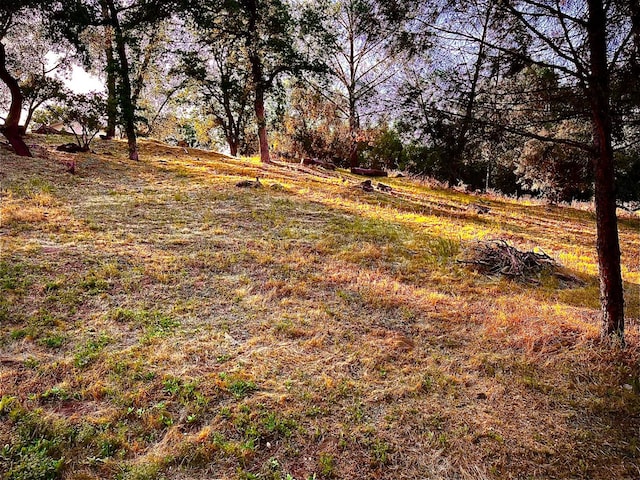31388 Yosemite Springs Pkwy, Coarsegold, CA 93614 - photo 49