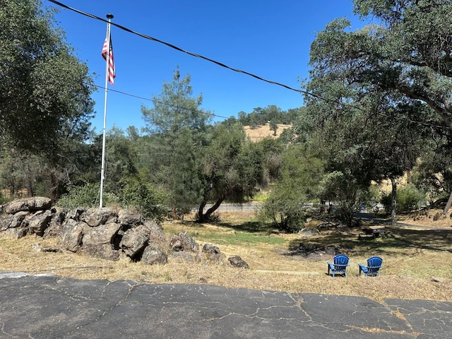 31388 Yosemite Springs Pkwy, Coarsegold, CA 93614 - photo 45