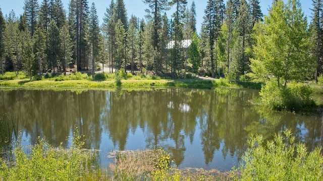 56981 Sequoia Dr, Springville, CA 93265 - water view