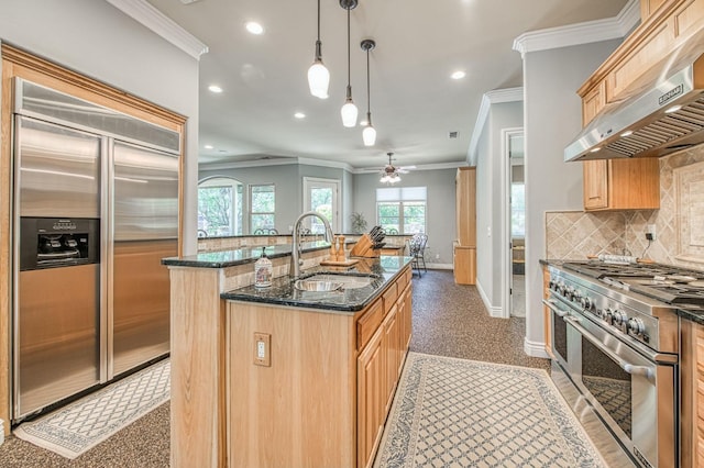 47307 Sunshine Terrace Dr, Coarsegold, CA 93614 - kitchen with high end appliances, a sink, range hood, ornamental molding, and baseboards