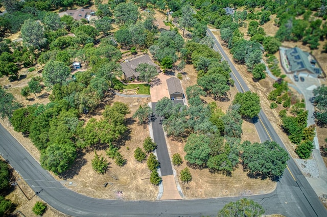 47307 Sunshine Terrace Dr, Coarsegold, CA 93614 - aerial overview of property's location
