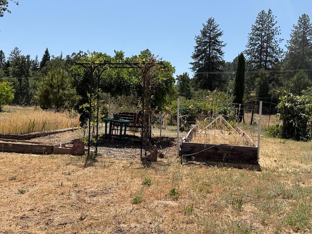 34133 Keller Rd, North Fork, CA 93643 - view of yard featuring a garden