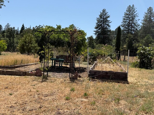 34133 Keller Rd, North Fork, CA 93643 - view of yard featuring a garden