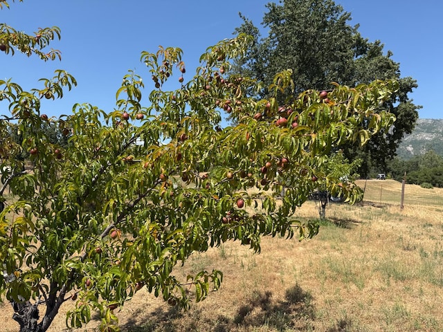 34133 Keller Rd, North Fork, CA 93643 - view of local wilderness