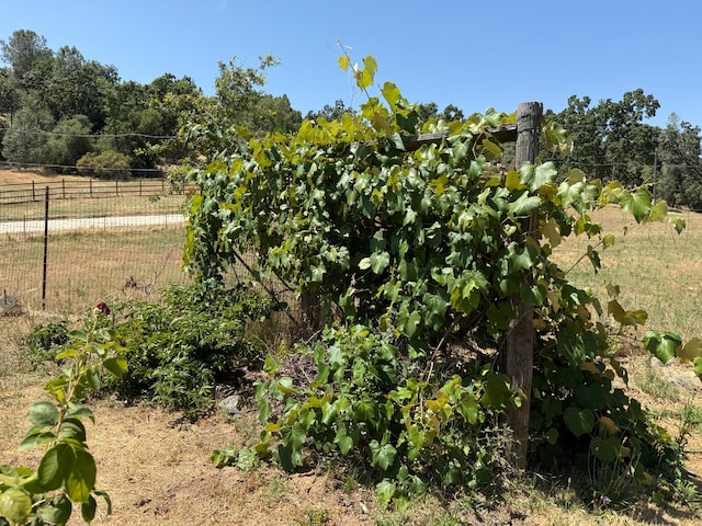 34133 Keller Rd, North Fork, CA 93643 - view of local wilderness