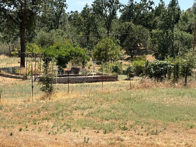 34133 Keller Rd, North Fork, CA 93643 - view of yard