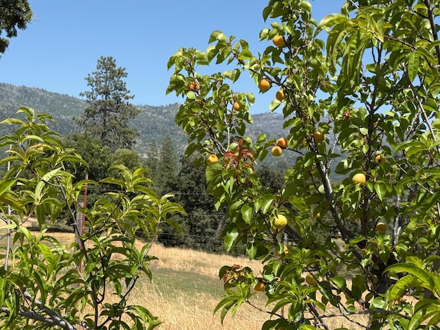 34133 Keller Rd, North Fork, CA 93643 - view of yard with a mountain view