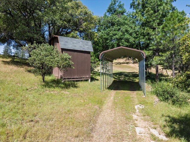 34133 Keller Rd, North Fork, CA 93643 - view of green lawn featuring driveway, a storage shed, and a detached carport