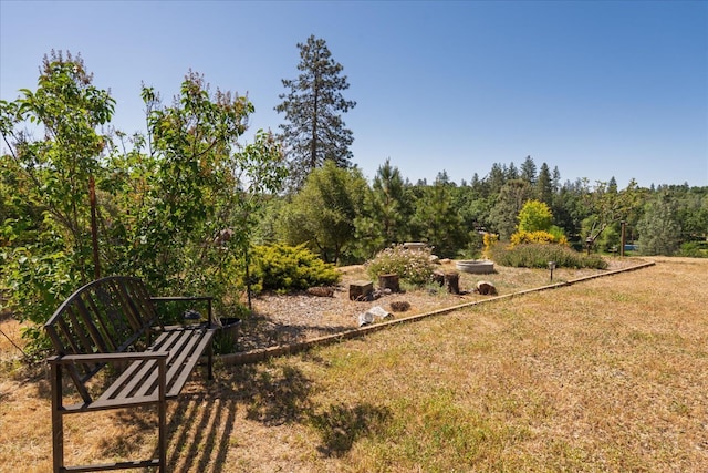 34133 Keller Rd, North Fork, CA 93643 - view of yard