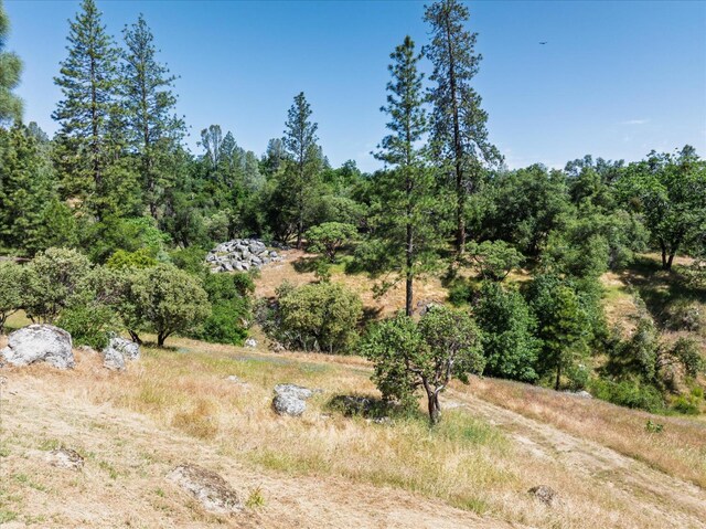 34133 Keller Rd, North Fork, CA 93643 - view of local wilderness