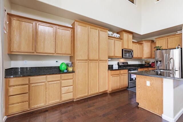 7026 E Dayton Ave, Fresno, CA 93737 - kitchen with appliances with stainless steel finishes, light brown cabinetry, dark wood finished floors, a high ceiling, and a sink