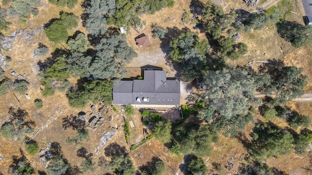 44719 Savage Rd, Coarsegold, CA 93614 - aerial view of property and surrounding area