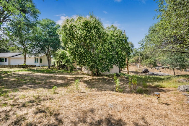 44719 Savage Rd, Coarsegold, CA 93614 - view of yard with an outdoor structure