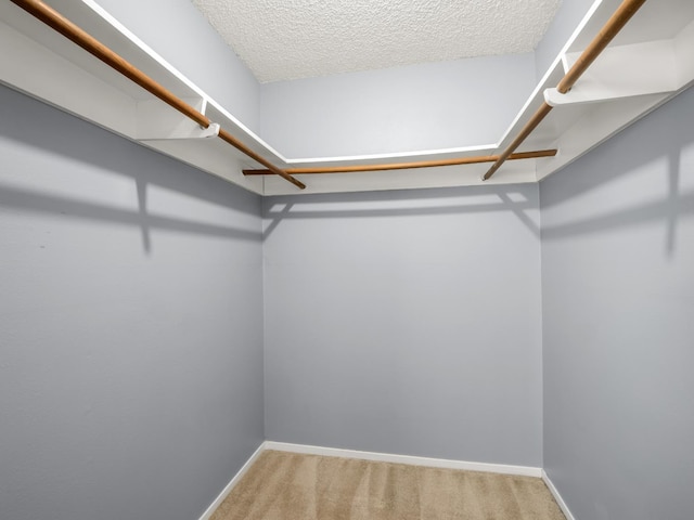 1646 W Millbrae Ave, Fresno, CA 93711 - spacious closet with carpet