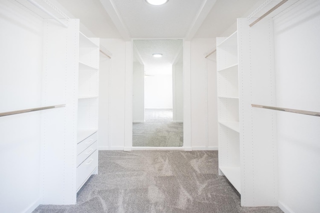 1617 W Indianapolis Ave, Fresno, CA 93705 - walk in closet with carpet flooring