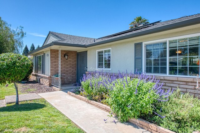 926 E Birch Ave, Fresno, CA 93720 - doorway to property featuring brick siding, roof with shingles, a yard, and stucco siding