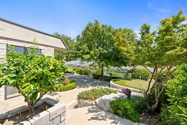 14215 Killarney Dr, Madera, CA 93636 - view of yard featuring a putting green