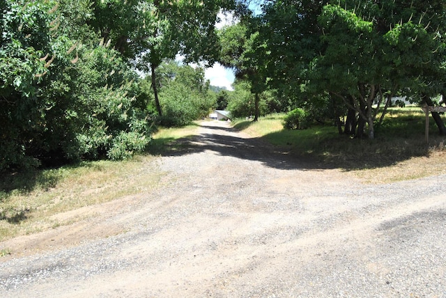 43379 Leach Rd, Ahwahnee, CA 93601 - view of dirt / gravel road