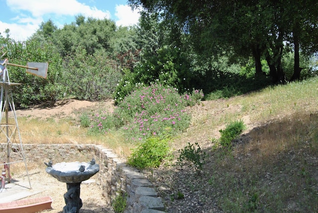 43379 Leach Rd, Ahwahnee, CA 93601 - view of yard