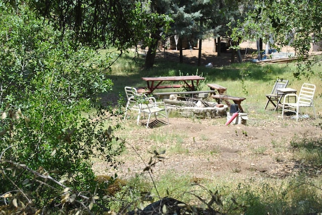 43379 Leach Rd, Ahwahnee, CA 93601 - view of yard