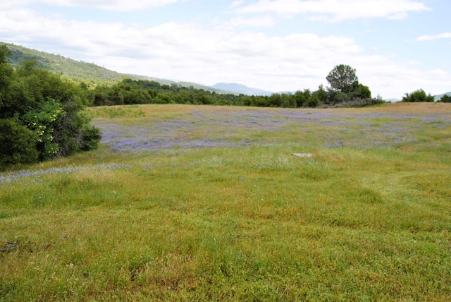 43379 Leach Rd, Ahwahnee, CA 93601 - view of yard with a rural view and a mountain view
