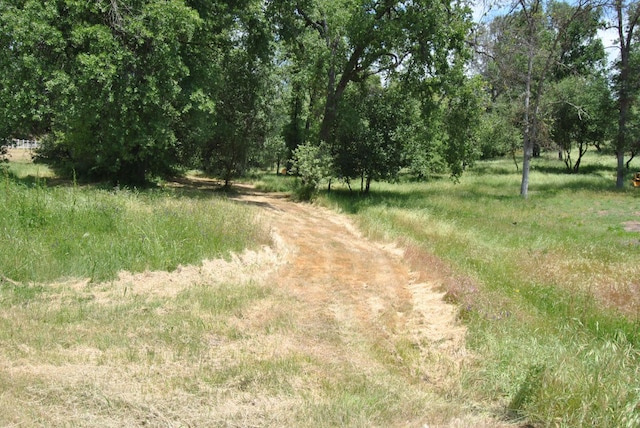 43379 Leach Rd, Ahwahnee, CA 93601 - view of undeveloped land