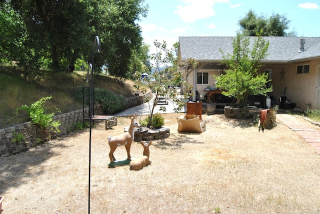 43379 Leach Rd, Ahwahnee, CA 93601 - view of yard