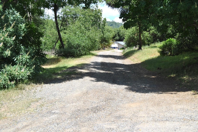 43379 Leach Rd, Ahwahnee, CA 93601 - view of dirt / gravel road with a forest view