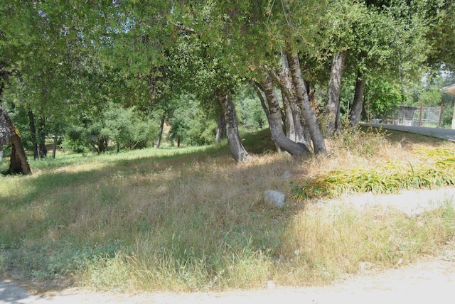 43379 Leach Rd, Ahwahnee, CA 93601 - view of nature