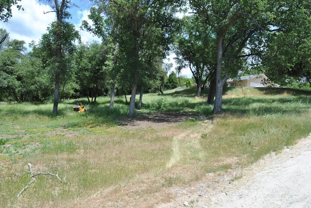 43379 Leach Rd, Ahwahnee, CA 93601 - view of yard