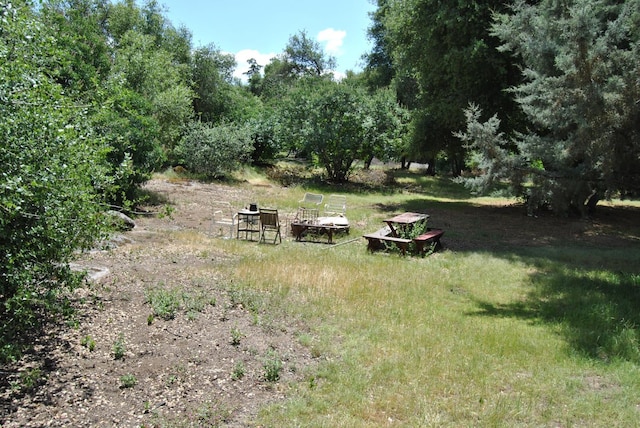 43379 Leach Rd, Ahwahnee, CA 93601 - view of yard