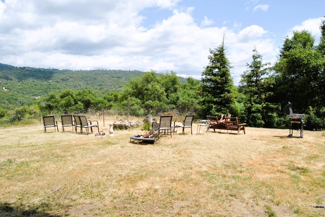 43379 Leach Rd, Ahwahnee, CA 93601 - view of yard