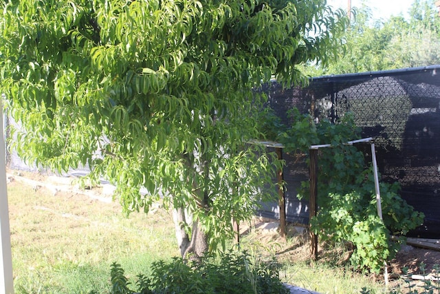 4657 E Hamilton Ave, Fresno, CA 93702 - view of yard